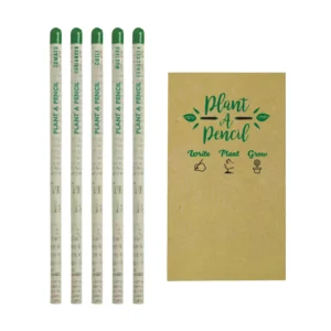 Plantable A Pencils Set Seeds Tomato Coriander Chili Mustard Fenugreek Ramadan Gifts - Image 6