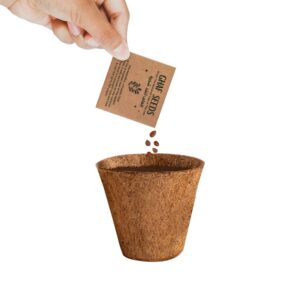 Plantable Kit with GHAF Seeds in Kraft Box Ramadan Gifts - Image 6