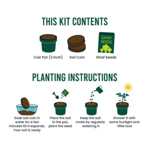 Plantable Kit with GHAF Seeds in Kraft Box Ramadan Gifts - Image 4